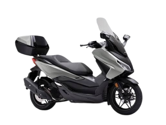 Honda FORZA 125, gris argenté